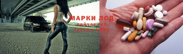 стаф Богородск