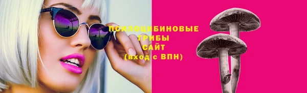 тгк Богородицк