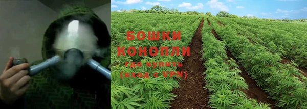 меф Белокуриха