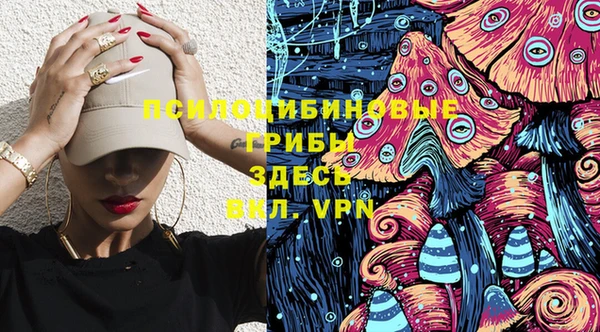 тгк Богородицк