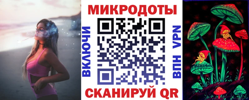 что такое Будённовск Псилоцибиновые грибы Cubensis