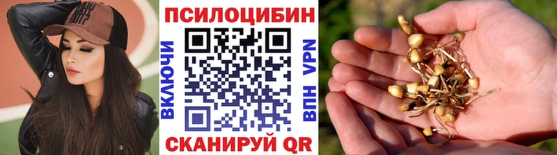 Галлюциногенные грибы Magic Shrooms Будённовск