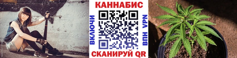 дарнет шоп  Будённовск  Конопля AK-47 